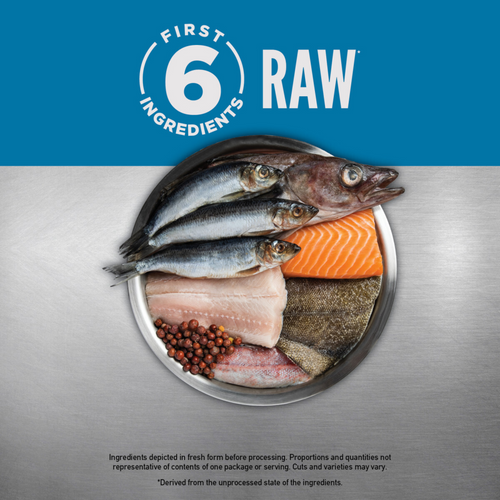 ORIJEN Grain Free Six Fish Dry Cat Food