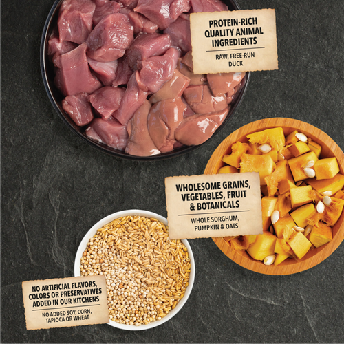 ACANA Wholesome Grains, Duck & Pumpkin Recipe, Limited Ingredient Diet Dry Dog Food