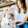 Cloud Star Wag More Bark Less Crunchy Grain Free Peanut Butter & Apples Dog Treats