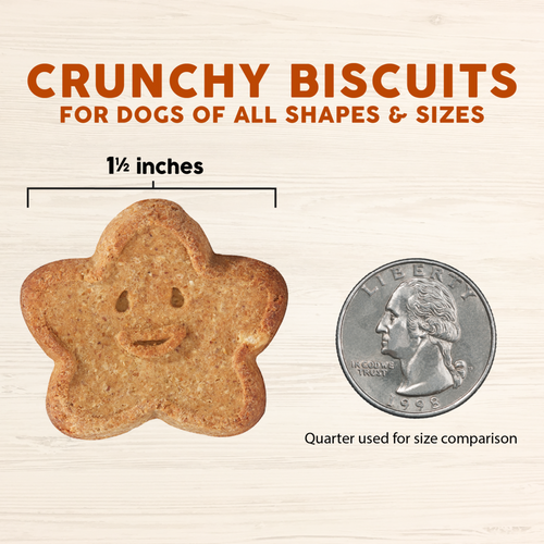 Cloud Star Wag More Bark Less Crunchy Grain Free Peanut Butter & Apples Dog Treats