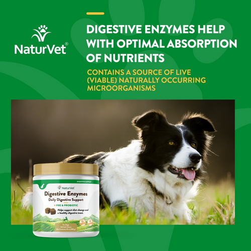 NaturVet Digestive Enzymes plus Probiotic Functional Soft Chews for Dogs