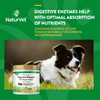NaturVet Digestive Enzymes plus Probiotic Functional Soft Chews for Dogs