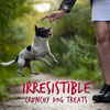 Fruitables Chewy Skinny Minis Apple Bacon Dog Treats