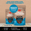 Cloud Star Tricky Trainers Chewy Salmon Dog Treats