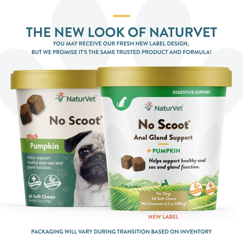 NaturVet No Scoot plus Pumpkin Functional Soft Chews for Dogs