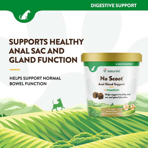 NaturVet No Scoot plus Pumpkin Functional Soft Chews for Dogs