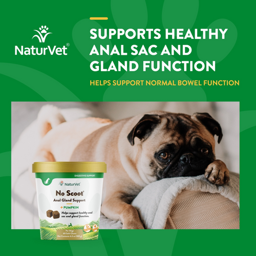 NaturVet No Scoot plus Pumpkin Functional Soft Chews for Dogs