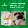 NaturVet No Scoot plus Pumpkin Functional Soft Chews for Dogs
