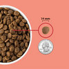 Acana Red Meat Recipe Dry Dog Food