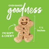 Buddy Biscuits Softies Soft & Chewy Grain Free Roasted Chicken Dog Treats