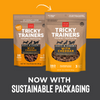Cloud Star Tricky Trainers Soft & Chewy Cheddar Dog Treats