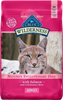 Blue Buffalo Wilderness High-Protein Grain-Free Adult Salmon Recipe Dry Cat Food