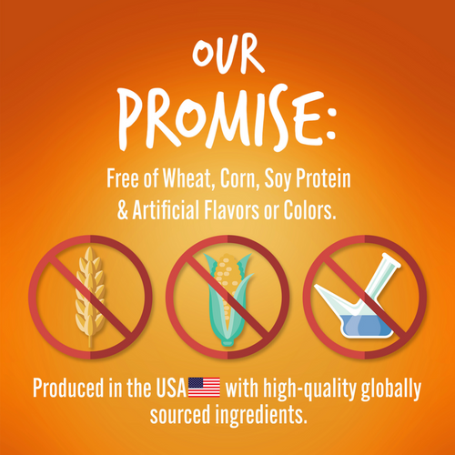 Fruitables Chewy Skinny Minis Pumpkin Mango Flavor Dog Treats