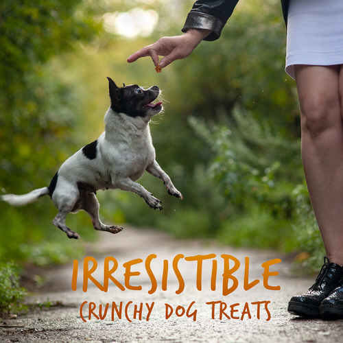 Fruitables Chewy Skinny Minis Pumpkin Mango Flavor Dog Treats