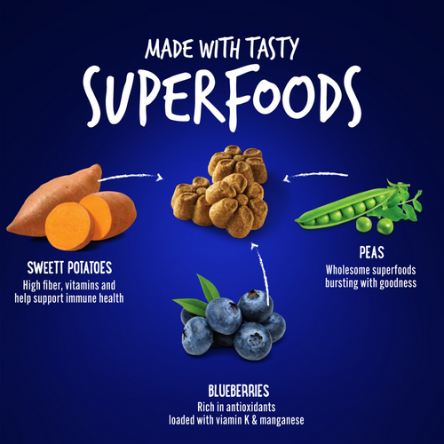 Fruitables Skinny Mini Pumpkin & Blueberry Dog Treats