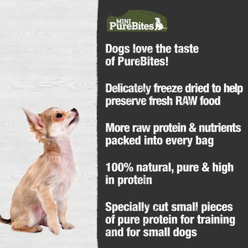 PureBites Mini Trainers Freeze Dried Beef Liver Dog Treats
