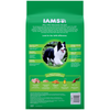 Iams ProActive Health Adult MiniChunks Dry Dog Food