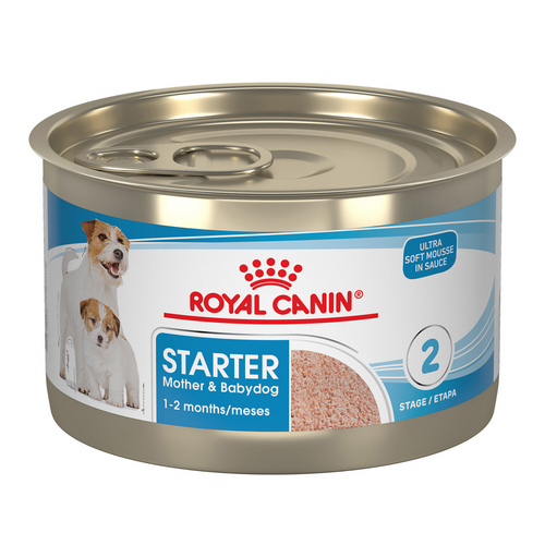 Royal Canin Size Health Nutrition Starter Mother & Babydog Mousse In Sauce Canned Dog Food