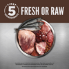 ORIJEN Grain Free Regional Red Dry Cat Food