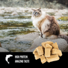 Orijen Grain Free Six Fish Freeze Dried Cat Treats