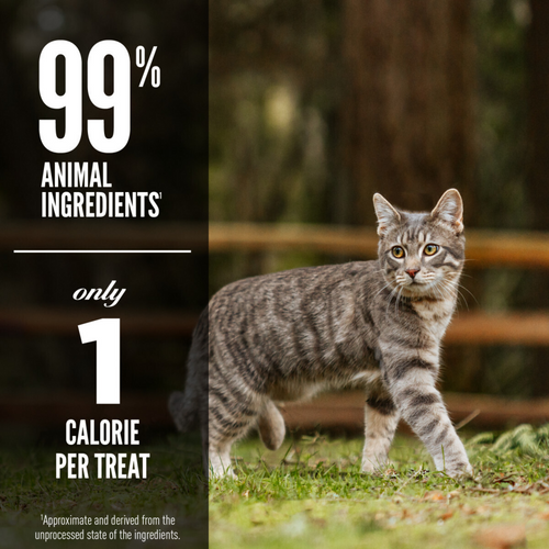 Orijen Grain Free Six Fish Freeze Dried Cat Treats