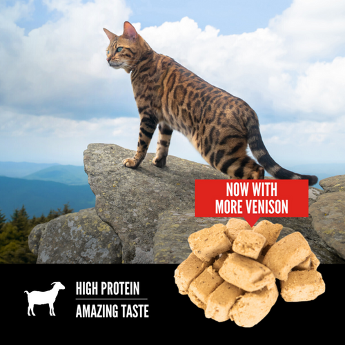 ORIJEN Grain Free Freeze Dried Tundra Cat Treats