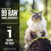 ORIJEN Grain Free Freeze Dried Tundra Cat Treats