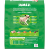 Iams ProActive Health Adult Large Breed Dry Dog Food