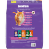 Iams ProActive Health Kitten Chicken Recipe Dry Cat Food