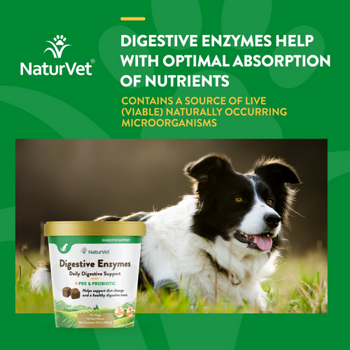 NaturVet Digestive Enzymes plus Probiotic Functional Soft Chews for Dogs