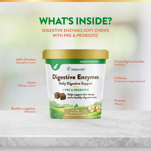 NaturVet Digestive Enzymes plus Probiotic Functional Soft Chews for Dogs