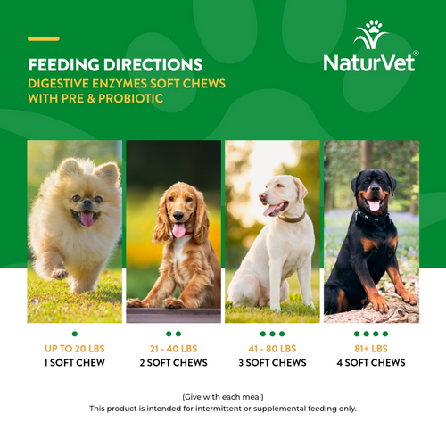 NaturVet Digestive Enzymes plus Probiotic Functional Soft Chews for Dogs