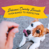 Natural Balance Rewards Crunchy Biscuits Dog Treats for Small Breeds with Real Venison