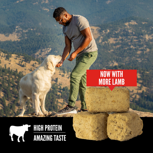 ORIJEN Freeze Dried Regional Red Dog Treats