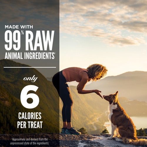 ORIJEN Freeze Dried Regional Red Dog Treats