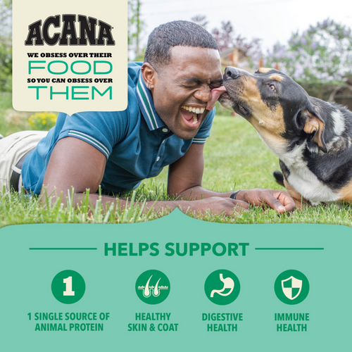 Acana Wholesome Grains, Lamb & Pumpkin Recipe, Limited Ingredient Diet Dry Dog Food