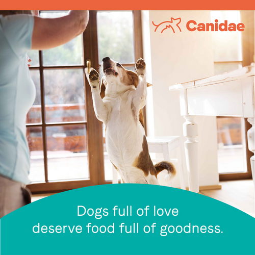 Canidae Pure Farm To Bowl Senior Free-Range Chicken, Sweet Potato & Garbanzo Bean Recipe Dog Food