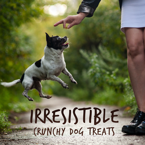 Fruitables Skinny Minis Grilled Bison Flavor Soft & Chewy Dog Treats