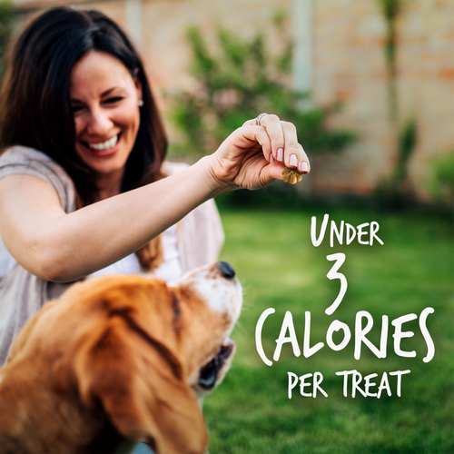 Fruitables Skinny Minis Grilled Bison Flavor Soft & Chewy Dog Treats
