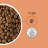 Acana Puppy Recipe Dry Dog Food