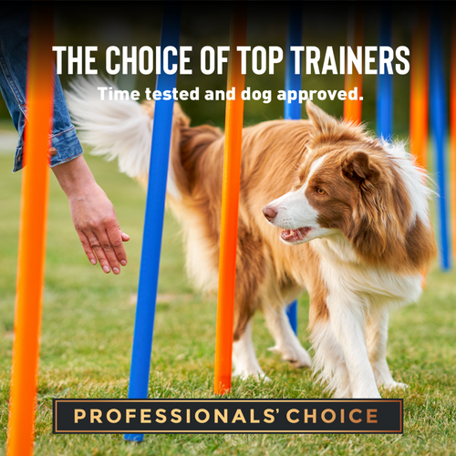 Cloud Star Tricky Trainers Chewy Salmon Dog Treats