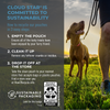 Cloud Star Tricky Trainers Chewy Salmon Dog Treats