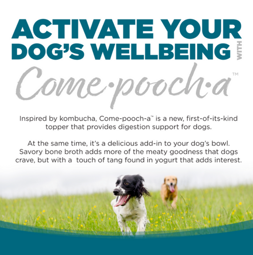 NutriSource Come-pooch-a Chicken Broth Food Topper