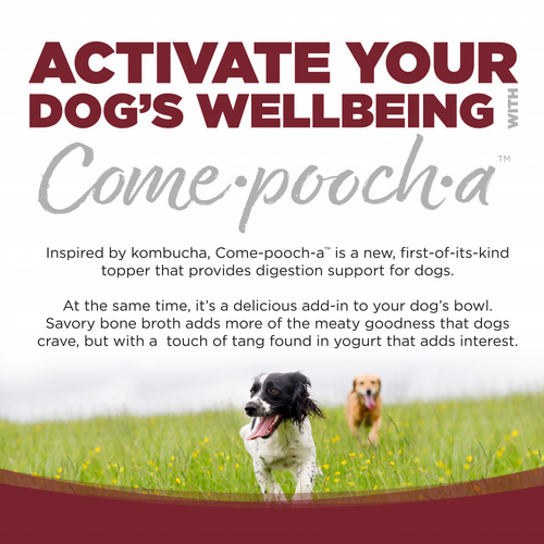 NutriSource Come-pooch-a Beef Broth Food Topper