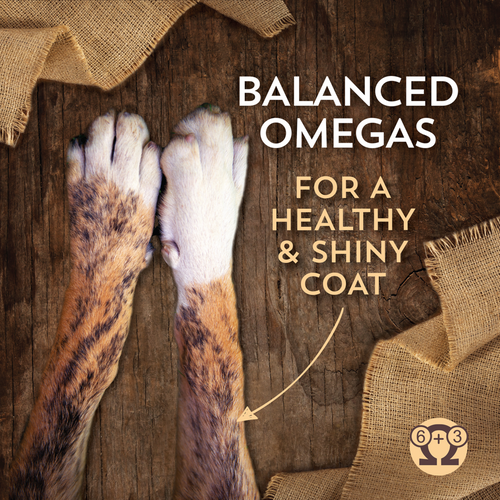 Wholesomes Puppy Chicken Meal & Rice Dry Dog Food