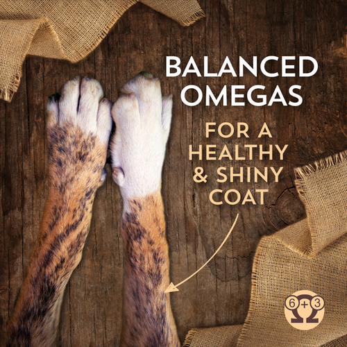 Wholesomes Grain Free Chicken Meal & Potatoes Recipe Dry Dog Food