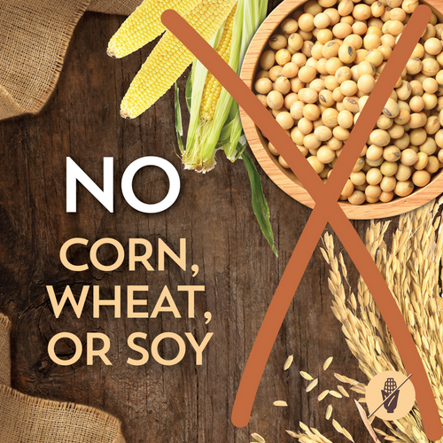 Wholesomes Beef Meal & Rice Recipe Dry Dog Food