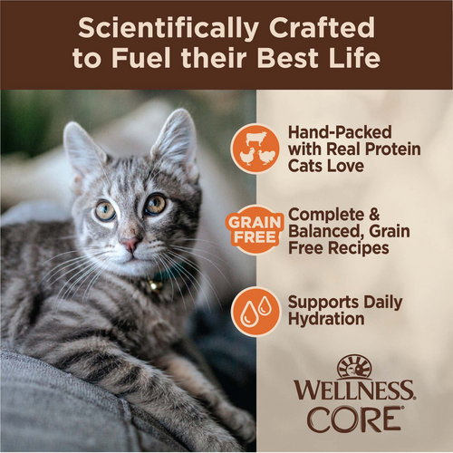 Wellness CORE Signature Selects Shredded Poultry Selection Natural Canned Grain Free Cat Food Variety Pack