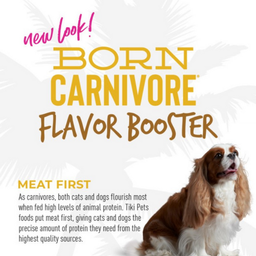 Tiki Dog Born Carnivore Flavor Booster Chicken Wet Dog Food Topper