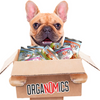 Organomics Beef & Pork Dinner for Dogs